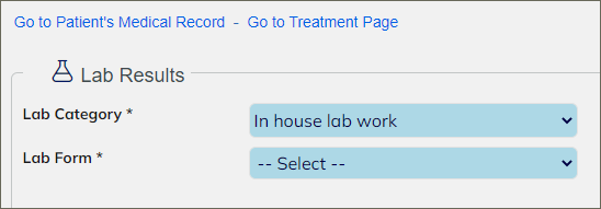 Lab_Results-Lab_Form_or_Go_To_MR.png