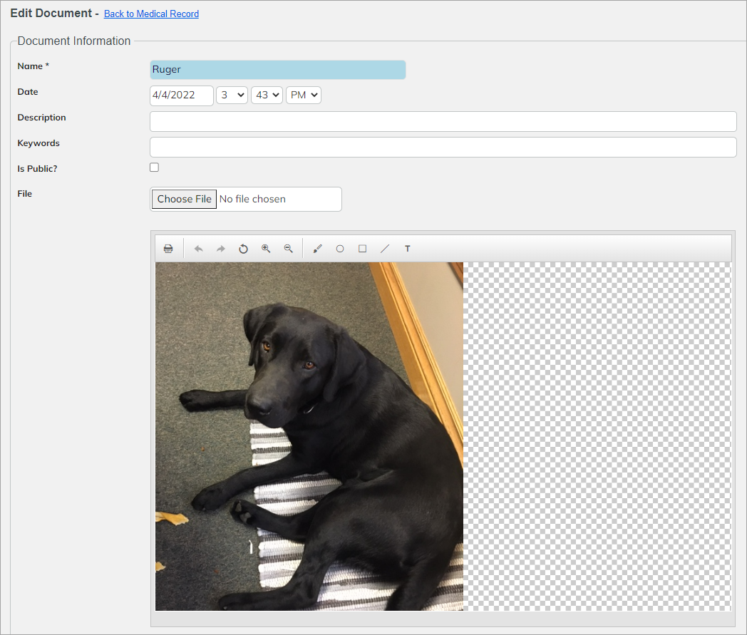 How to edit images added to the medical record? – Covetrus Pulse™ Help  Center